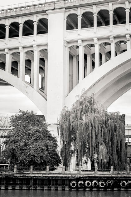Bridge, Trees and Tires, 2013