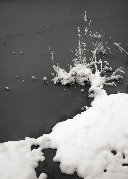 Late Winter Snow by Pond's Edge, 2016