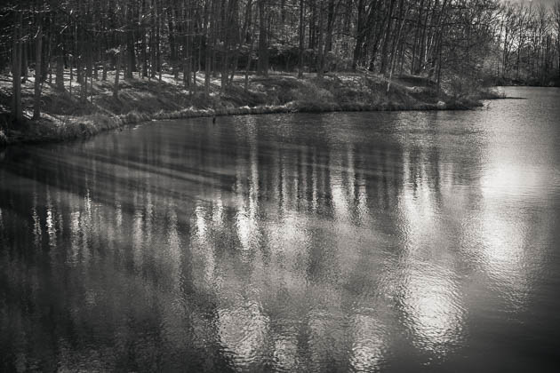 Reflections and Shadows, Beyer's Pond, 2016